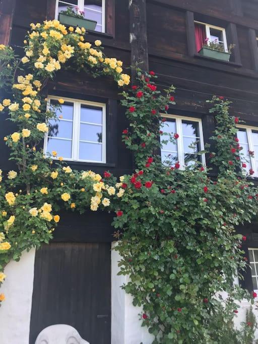Charming Alps Apartment Perfect For Walk/Cycle/Ski Eschenbach Zewnętrze zdjęcie