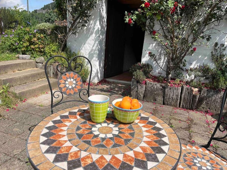 Charming Alps Apartment Perfect For Walk/Cycle/Ski Eschenbach Zewnętrze zdjęcie