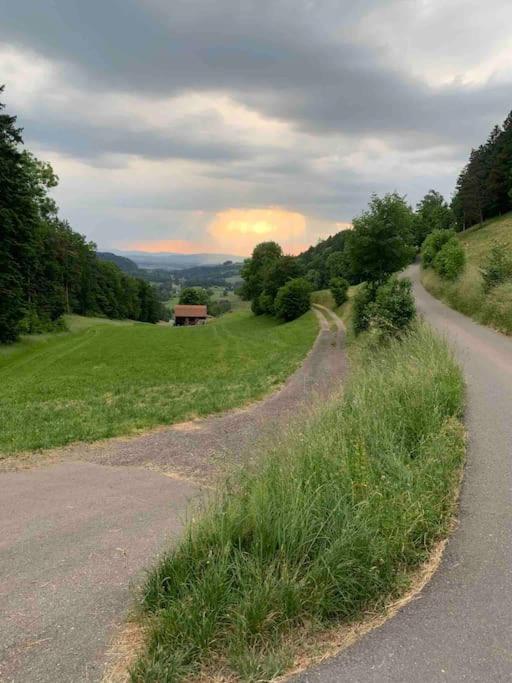 Charming Alps Apartment Perfect For Walk/Cycle/Ski Eschenbach Zewnętrze zdjęcie